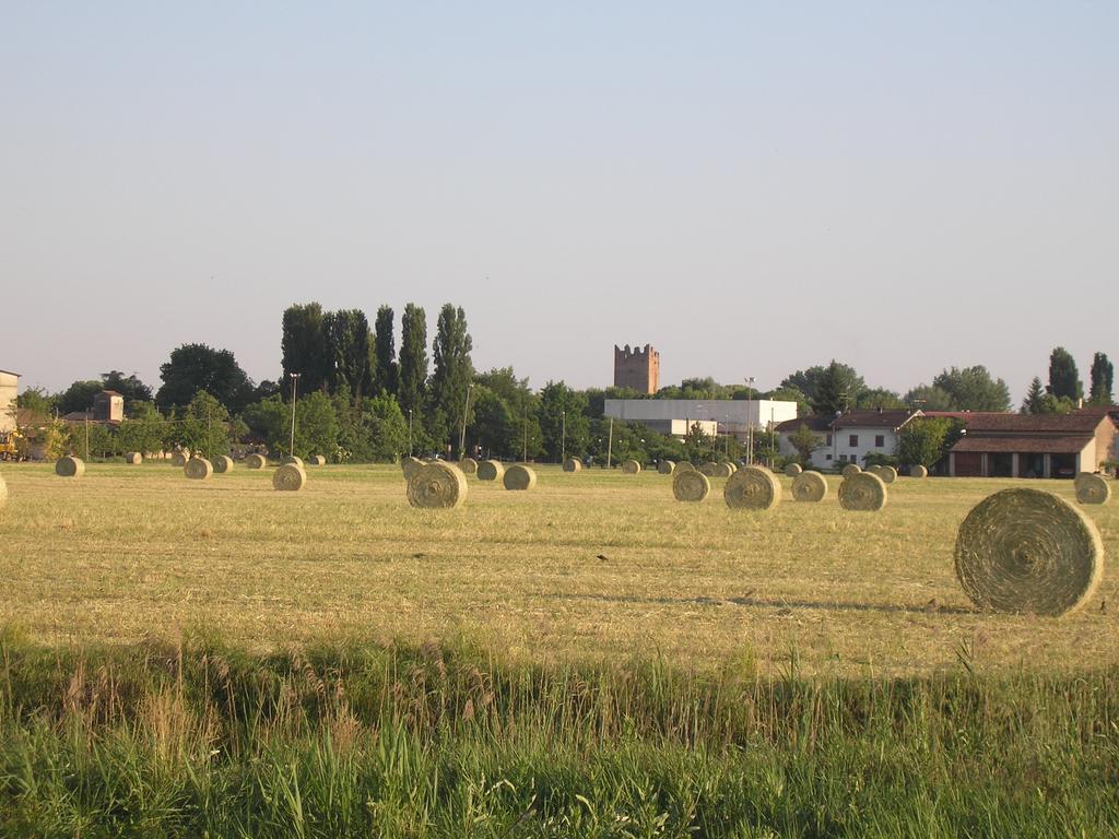 Agriturismo Boschi Villa Reggiolo ภายนอก รูปภาพ